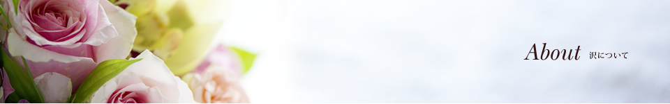 About 沢について